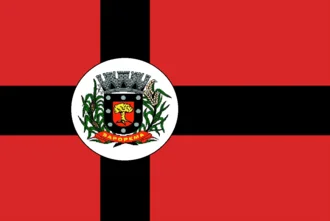 Bandeira de Sapopema