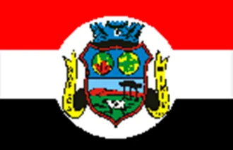 Bandeira de Sapucaí-Mirim
