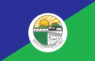Bandeira de Senador Canedo