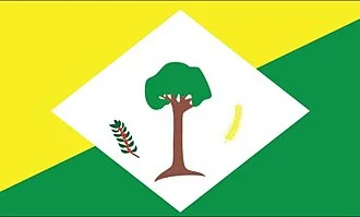 Bandeira de Senador Guiomard