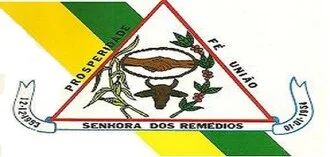 Bandeira de Senhora dos Remédios