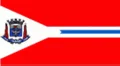 Bandeira de Suzano