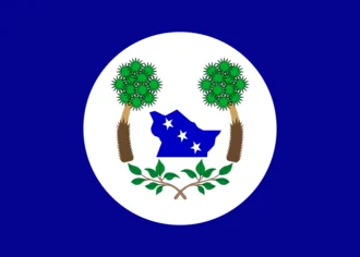 Bandeira de Tabuleiro do Norte