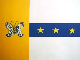 Bandeira de Tanabi