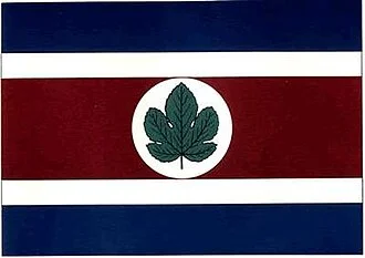 Bandeira de Taquarituba