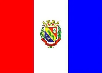 Bandeira de Telêmaco Borba