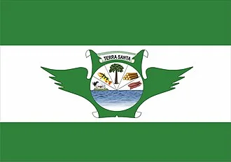 Bandeira de Terra Santa