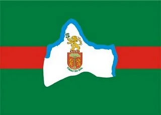 Bandeira de Tibau do Sul