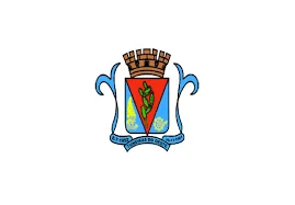 Bandeira de Tuneiras do Oeste