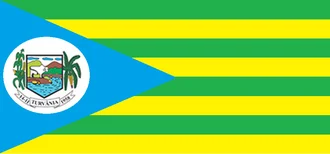 Bandeira de Turvânia