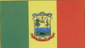 Bandeira de Turvo