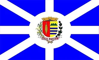 Bandeira de Vargem Grande do Sul