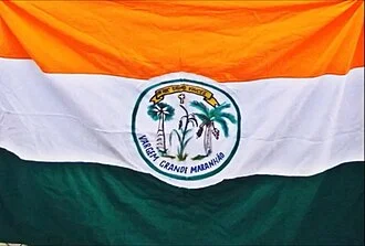 Bandeira de Vargem Grande