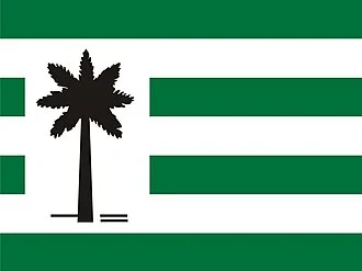 Bandeira de Várzea da Palma