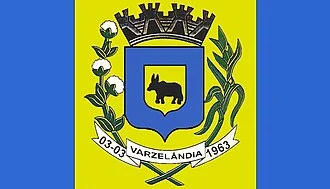 Bandeira de Varzelândia