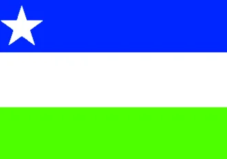 Bandeira de Viana