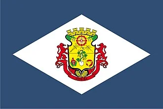 Bandeira de Videira