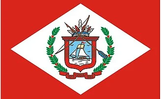 Bandeira de Vigia