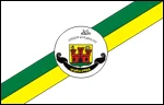 Bandeira de Viseu