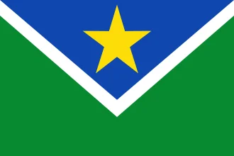 Bandeira de Vitória do Jari