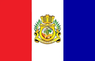 Bandeira de Wenceslau Guimarães